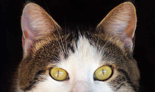 Portrait photographer serving Boise, Nampa and the Treasure Valley