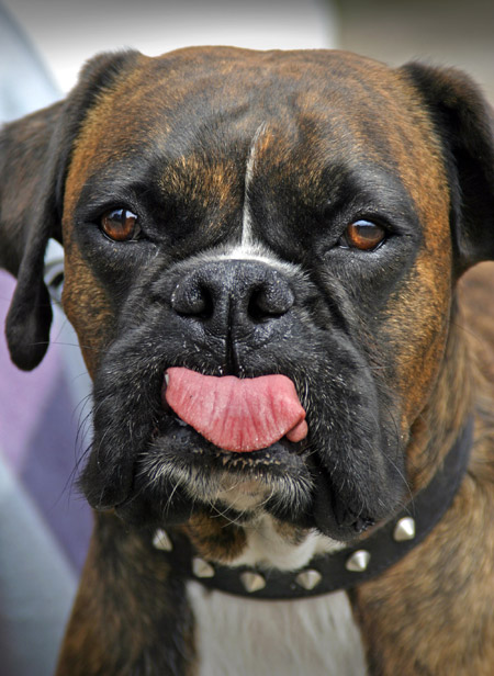 Portrait photographer serving Boise, Nampa and the Treasure Valley