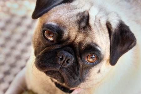 Portrait photographer serving Boise, Nampa and the Treasure Valley